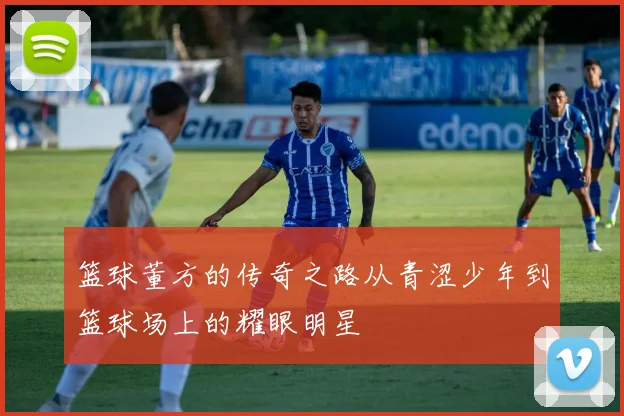 篮球董方的传奇之路从青涩少年到篮球场上的耀眼明星