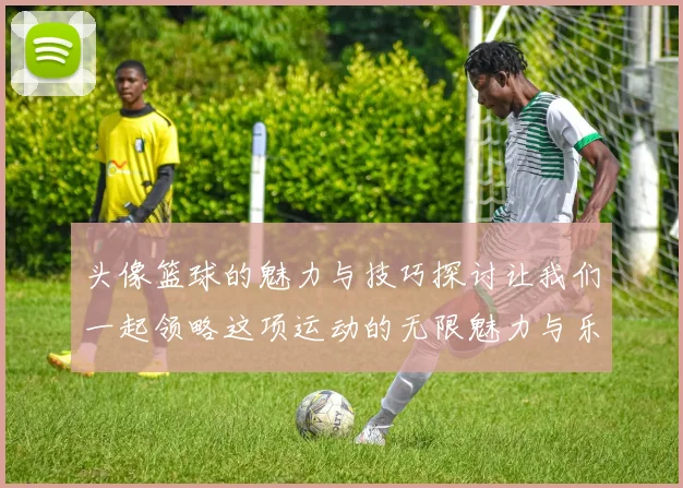 头像篮球的魅力与技巧探讨让我们一起领略这项运动的无限魅力与乐趣