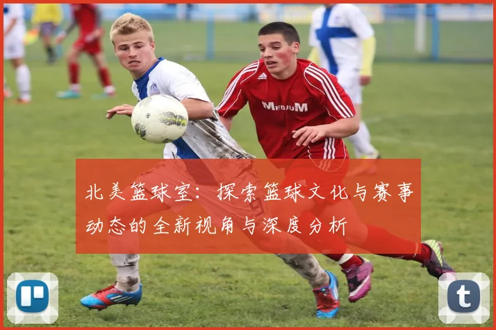 北美篮球室：探索篮球文化与赛事动态的全新视角与深度分析
