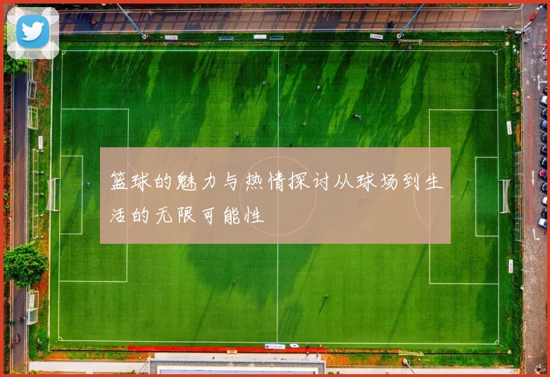 篮球的魅力与热情探讨从球场到生活的无限可能性