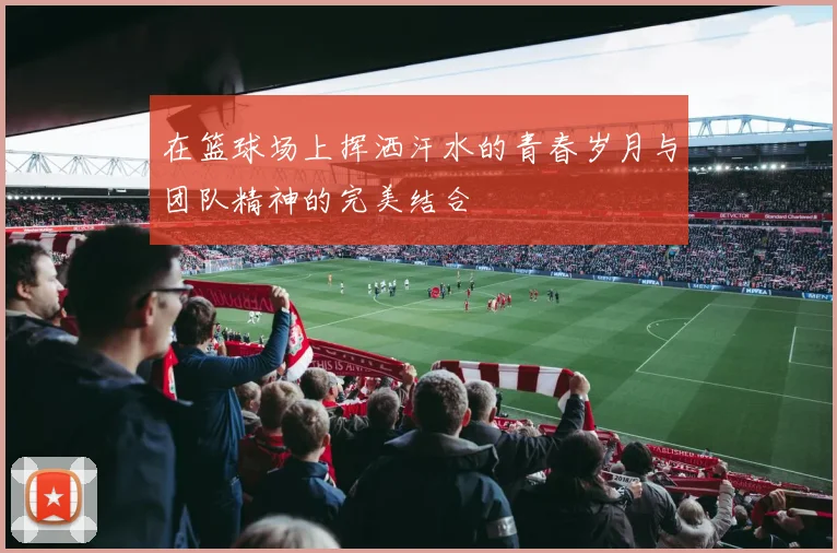 在篮球场上挥洒汗水的青春岁月与团队精神的完美结合