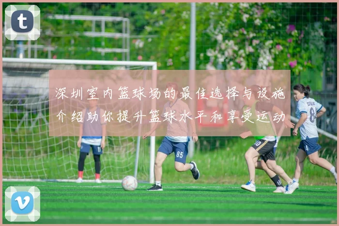 深圳室内篮球场的最佳选择与设施介绍助你提升篮球水平和享受运动乐趣